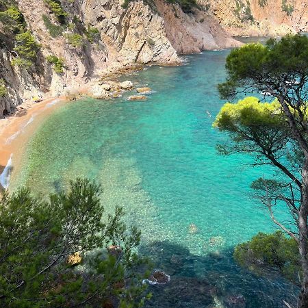 Zen Apartment Sea Views Tossa de Mar Eksteriør billede