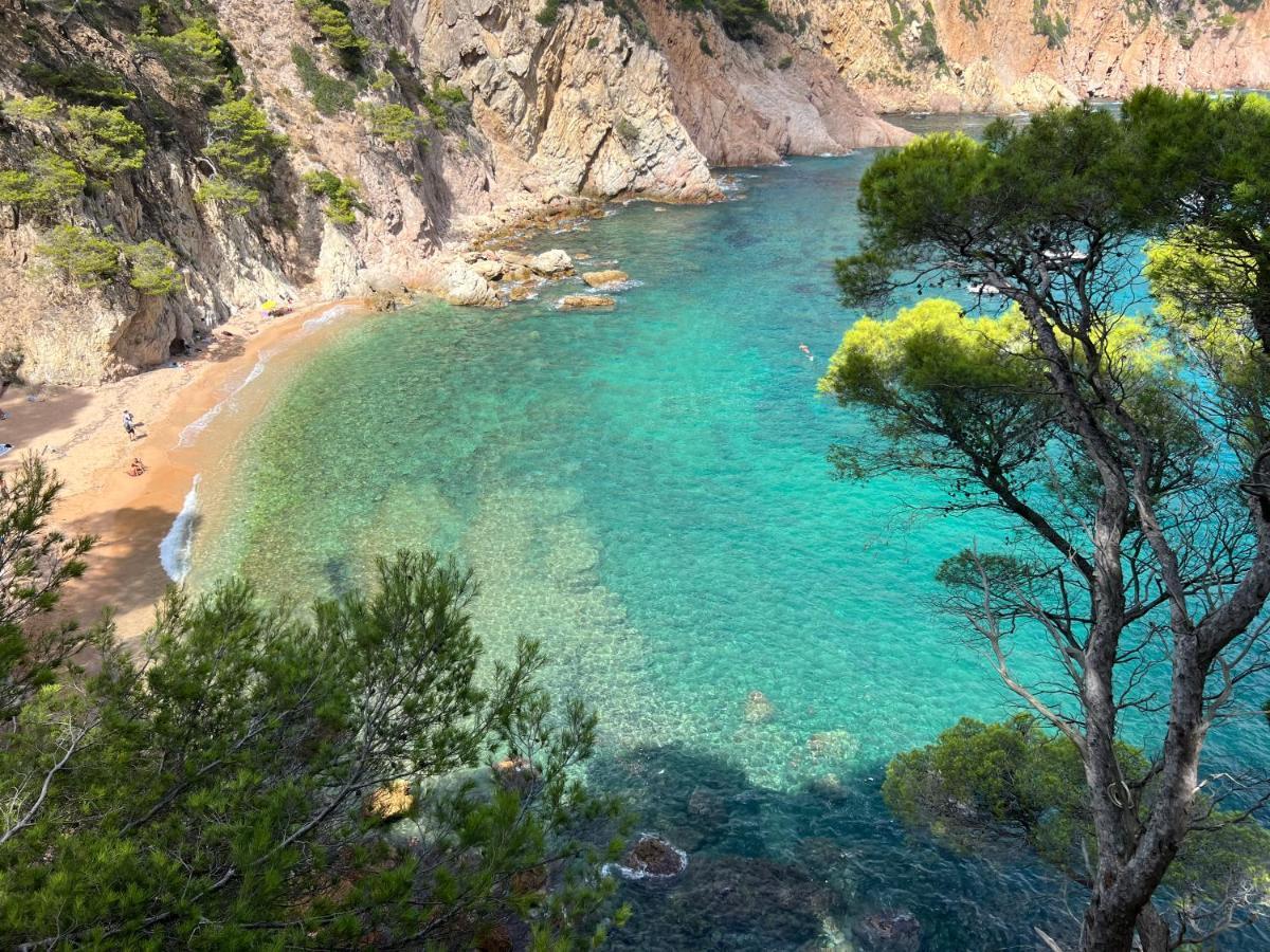 Zen Apartment Sea Views Tossa de Mar Eksteriør billede